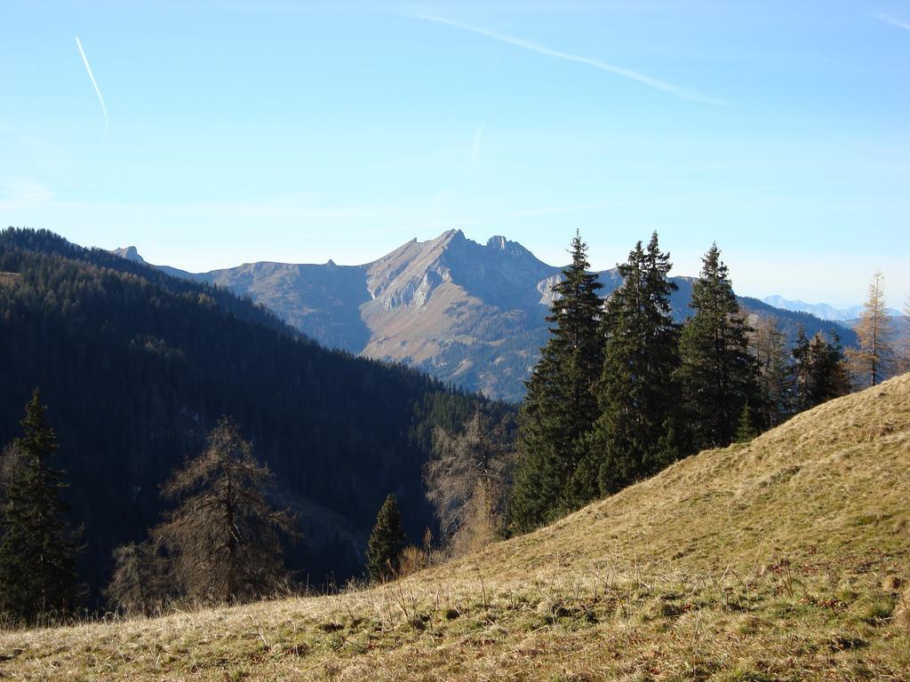 Appartementhaus Schuetzenhof Schied グロースアルル エクステリア 写真