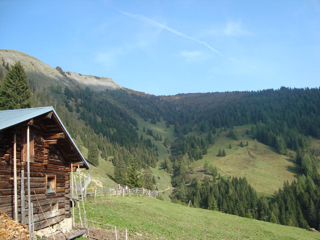 Appartementhaus Schuetzenhof Schied グロースアルル エクステリア 写真